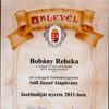 View certificate